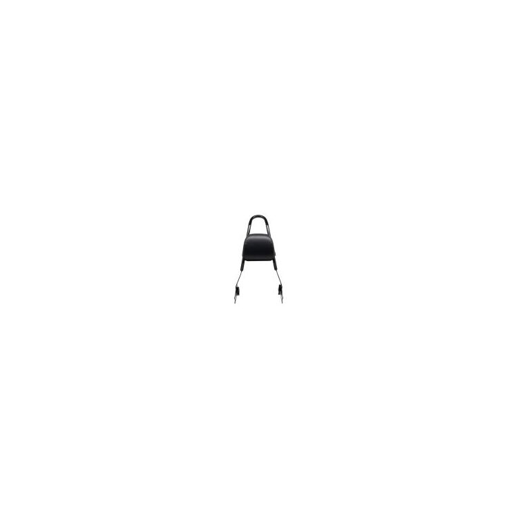 HogWorkz Detachable Sissy Bar Backrest For Harley Sportster - Image 7
